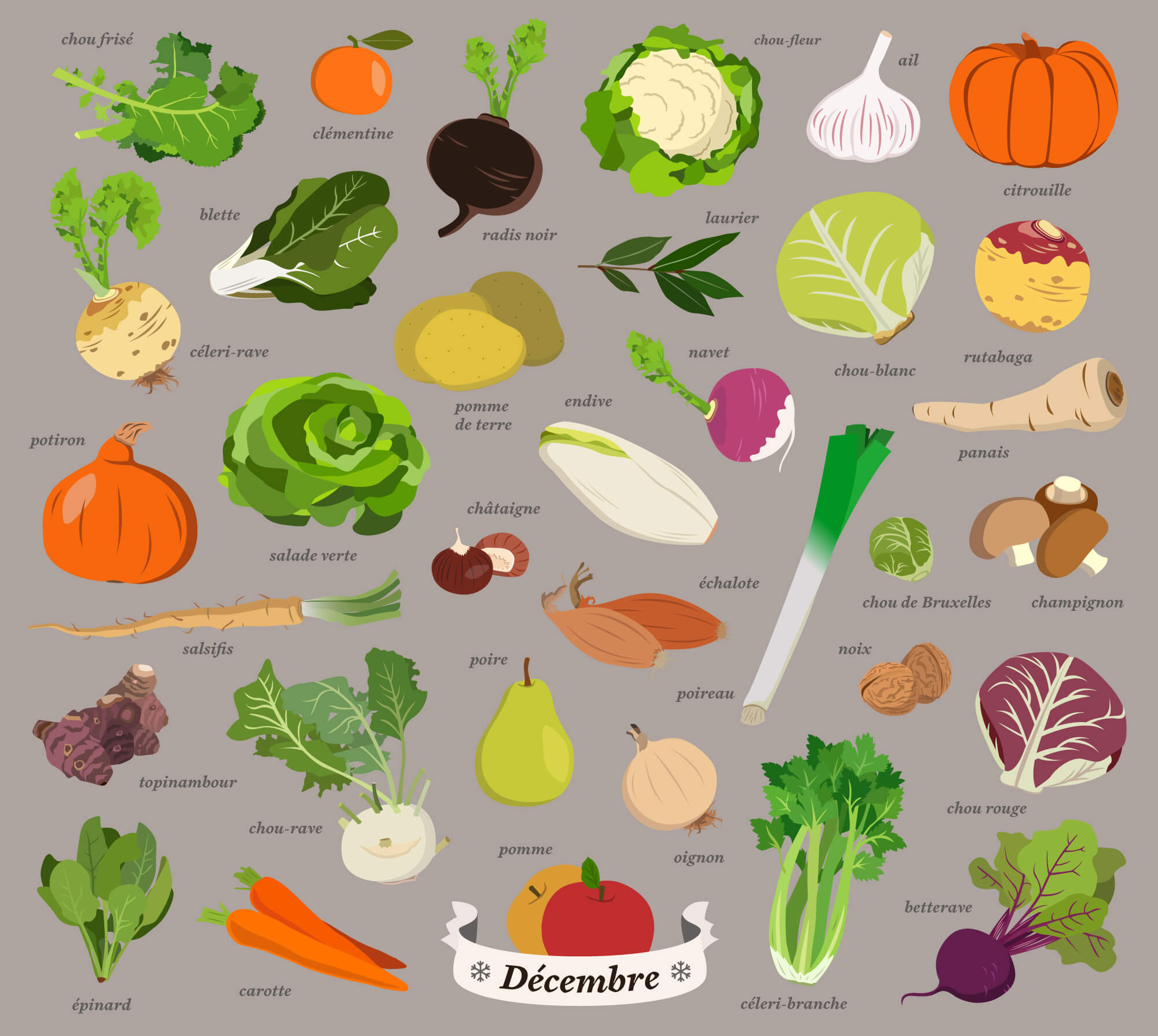 fruits et légumes de saison, illustrations, décembre, calendrier