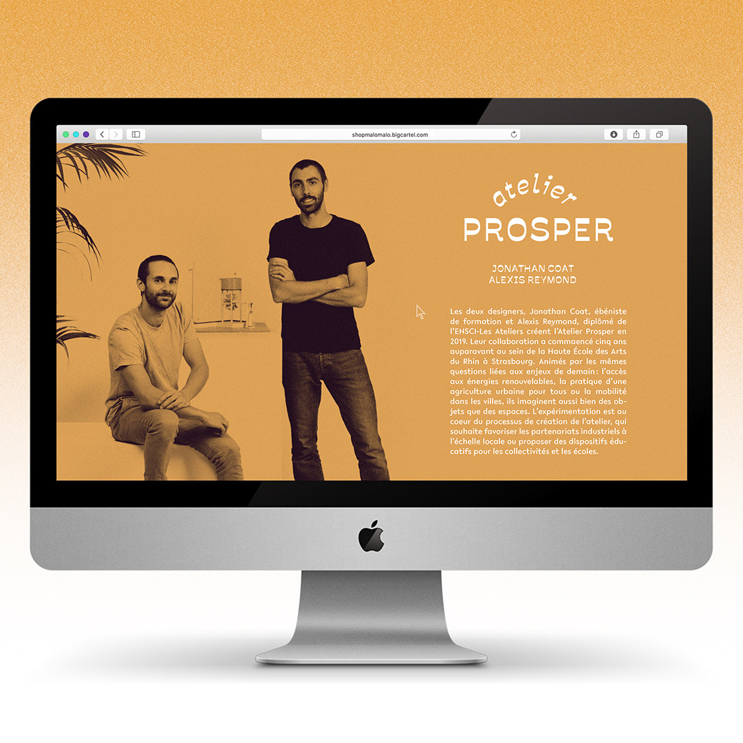 logo, atelier prosper, visual identity, website