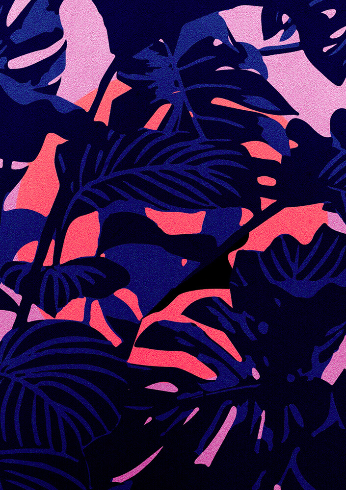 Jungle, illustration, poster