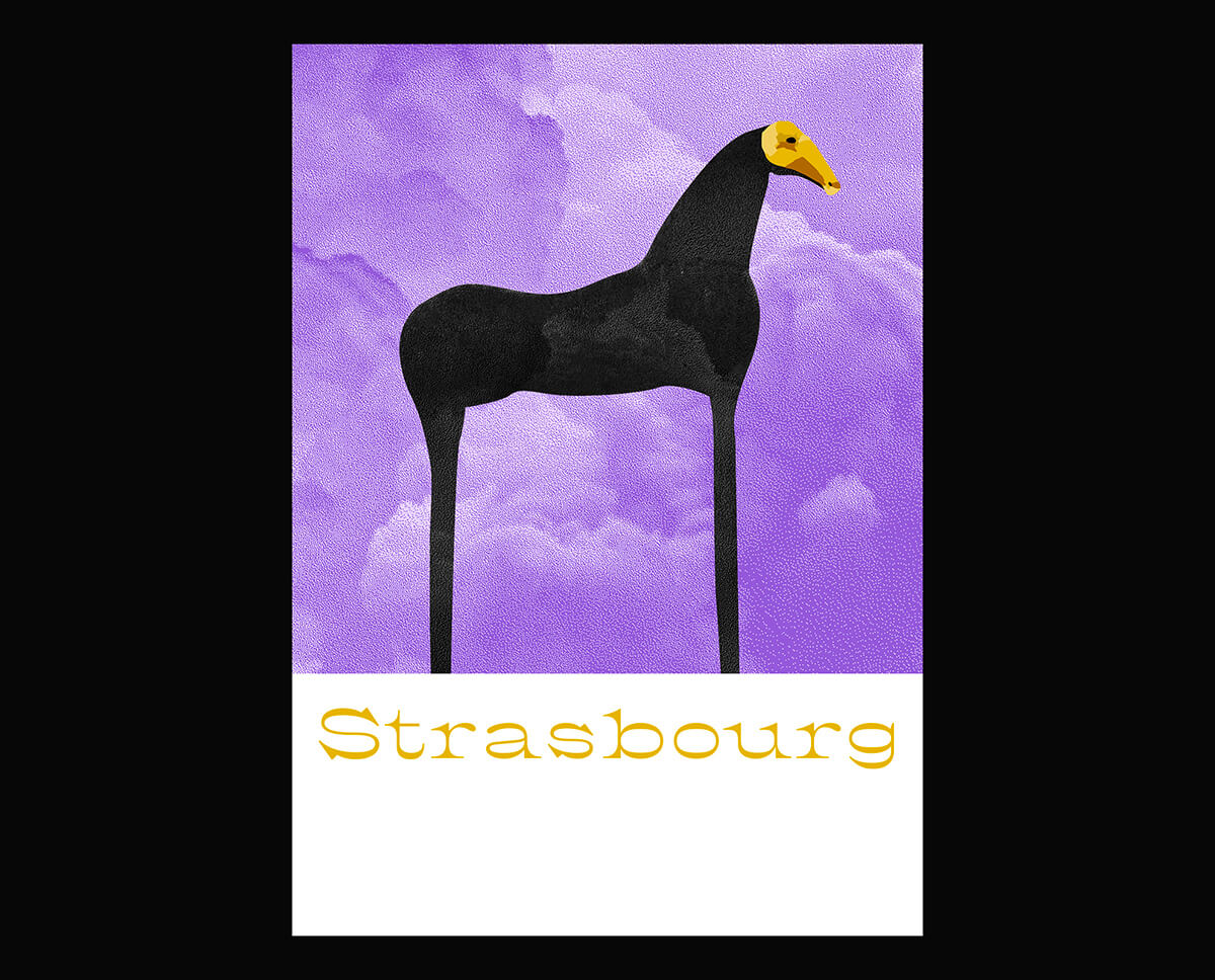 strasbourg, illustration, cheval, art, musée d'art moderne et contemporain de strasbourg, poster